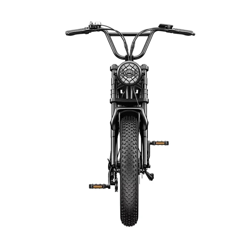 Trailhead Ranger Fat-Tire E-Bike – 750 W 48 V Adventure Model